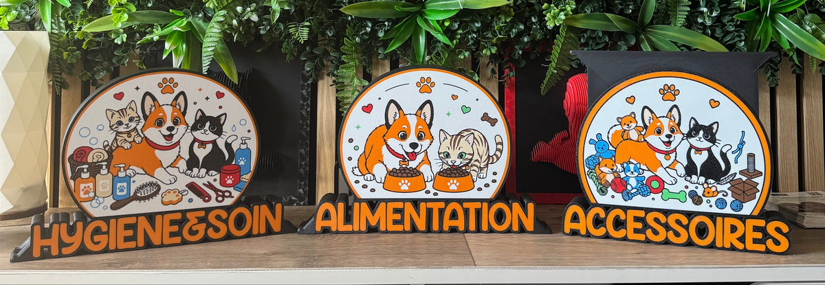 🐾 Une création lumineuse sur mesure pour Patounes et Moustaches